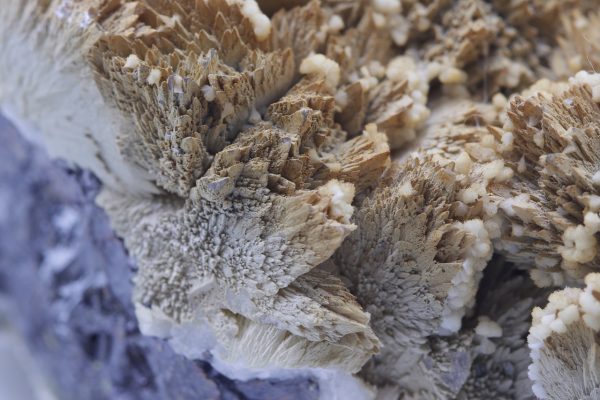 Sphalerit, Dolomit – Bild 5