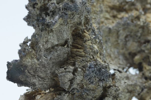 Silber – Bild 12