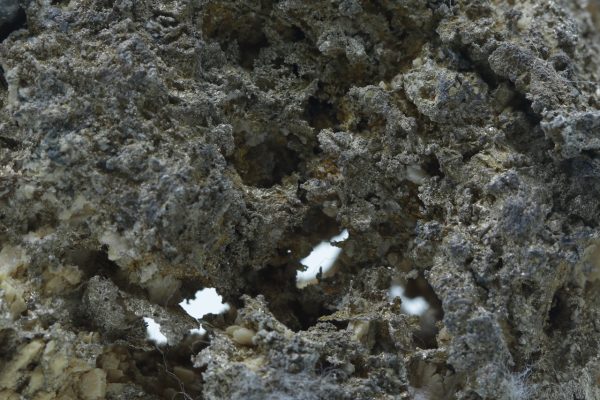 Silber – Bild 14