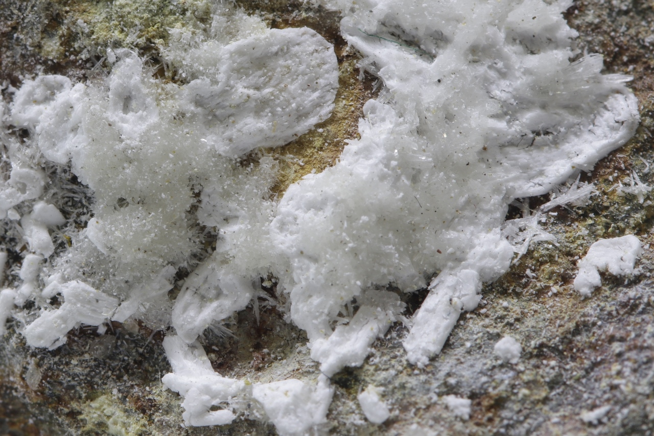 Brassit, farmakolit – Bild 7