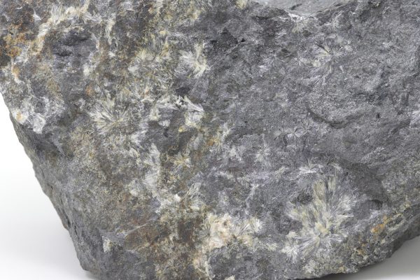 Valentinit – Bild 3