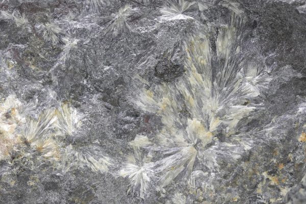 Valentinit – Bild 4
