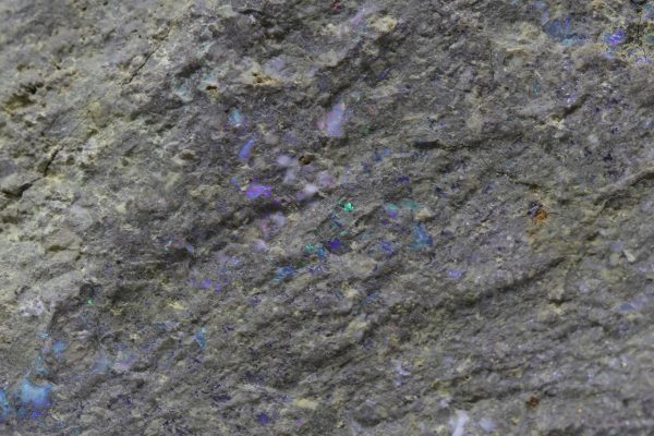 Edelopal – Bild 2