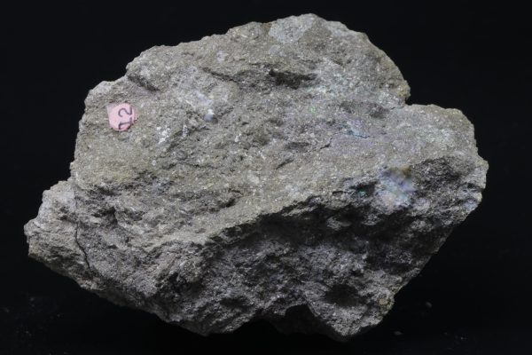 Edelopal – Bild 4