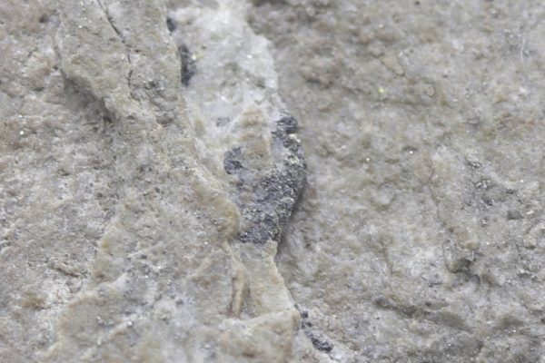 Sylvanit – Bild 5