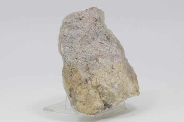 Elbait – Bild 2