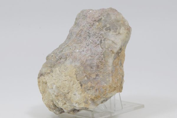 Elbait – Bild 4