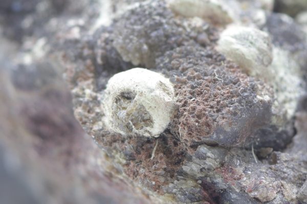 Eulytin, Beyerit – Bild 7