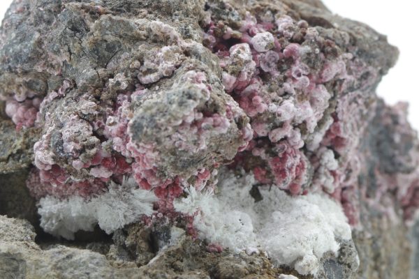 Erythrin – Bild 7