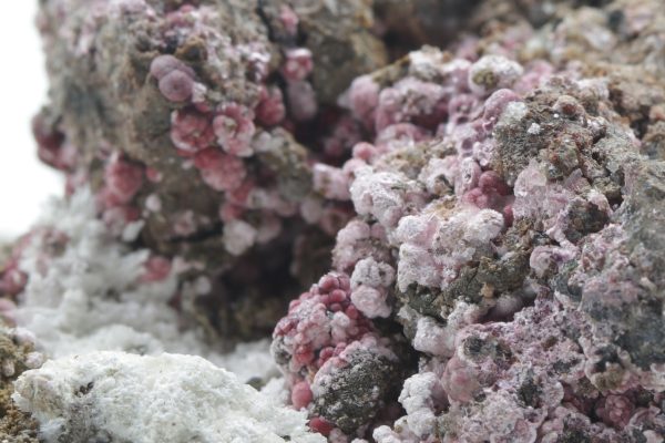 Erythrin – Bild 9