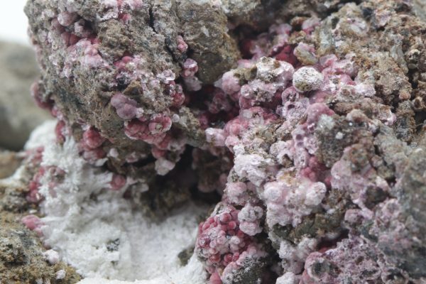 Erythrin – Bild 10