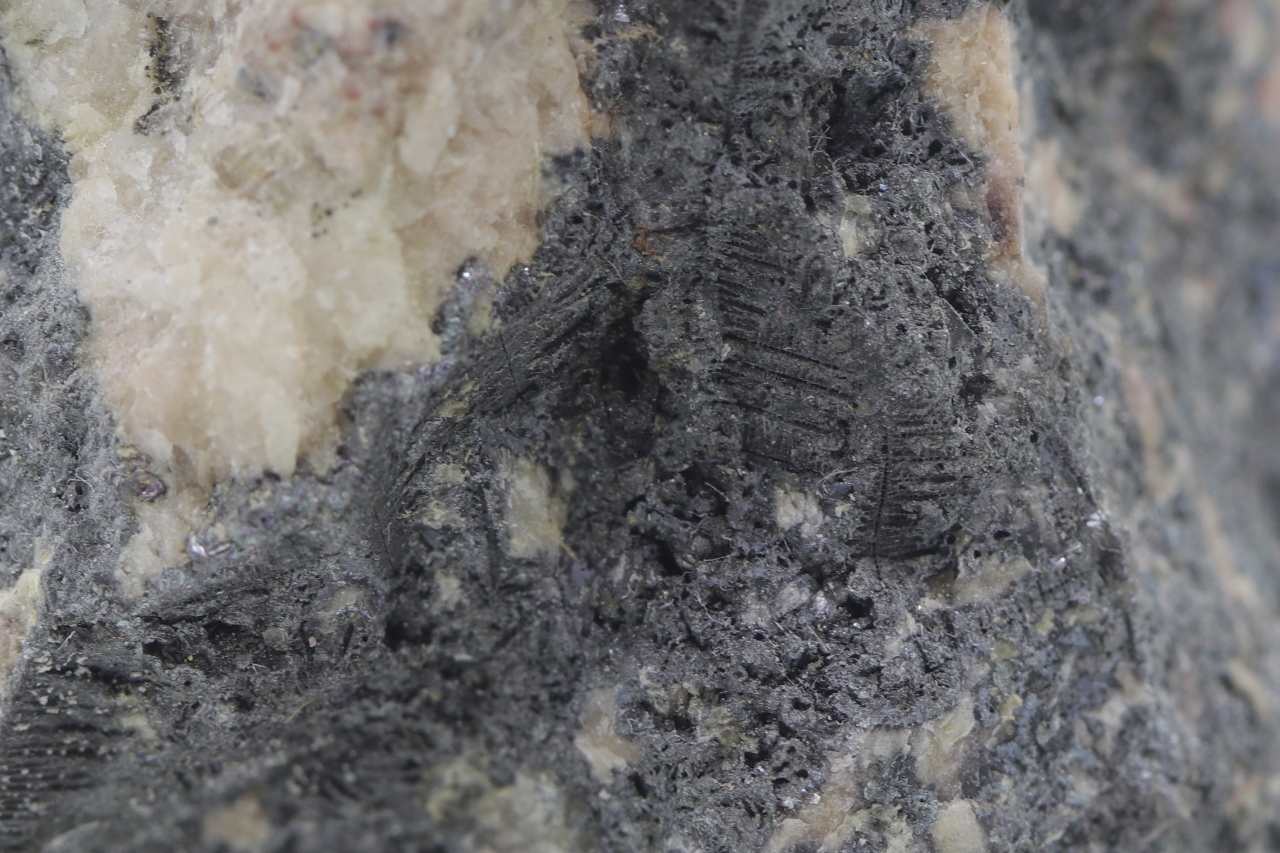 Skutterudit, Rammelsbergit – Bild 6