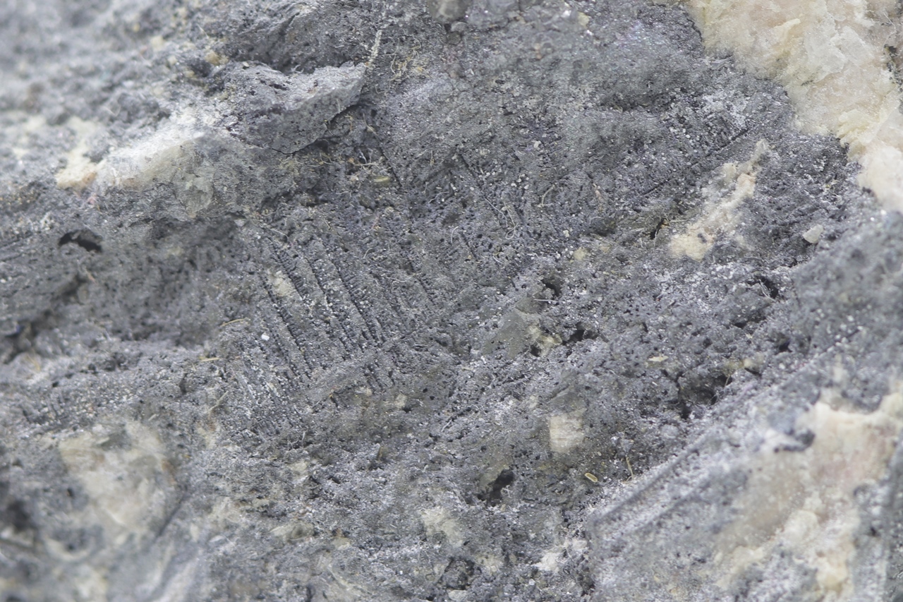 Skutterudit, Rammelsbergit