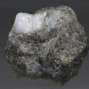 Edelopal