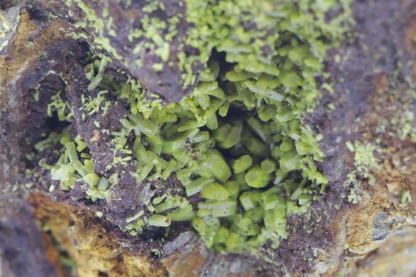 Pyromorphit – Bild 9