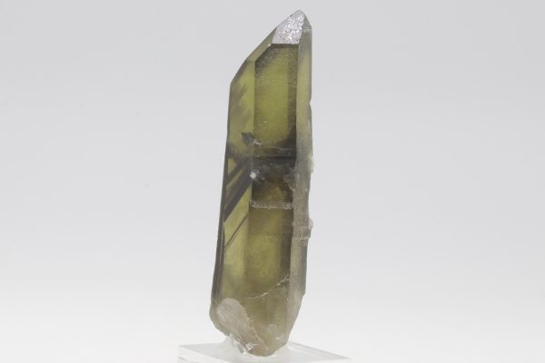 Citrin – Bild 4