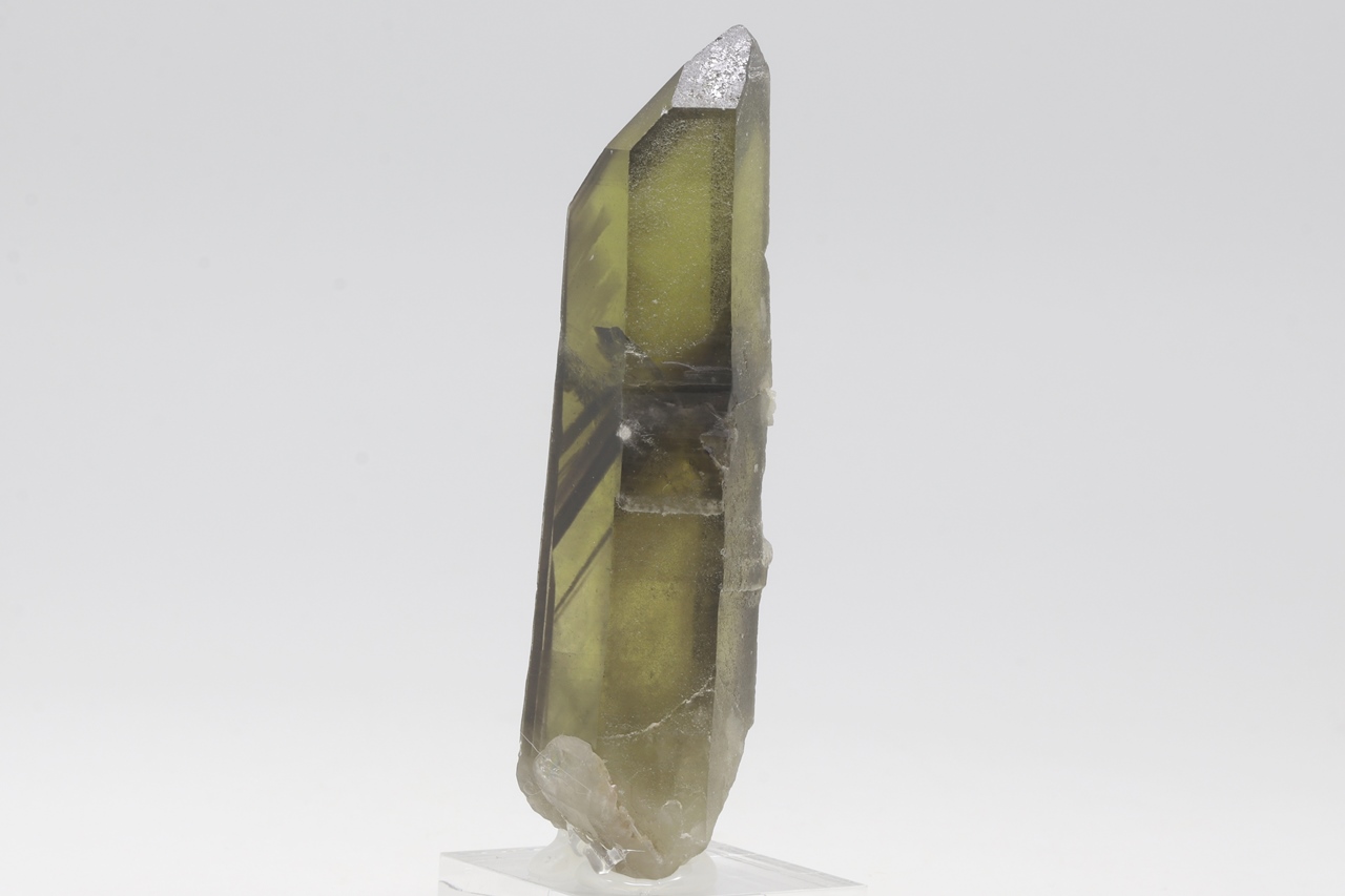 Citrin – Bild 4
