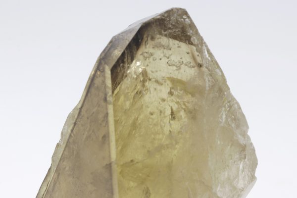 Citrin – Bild 11