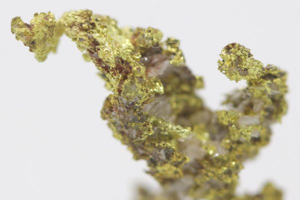 Gold – Bild 6