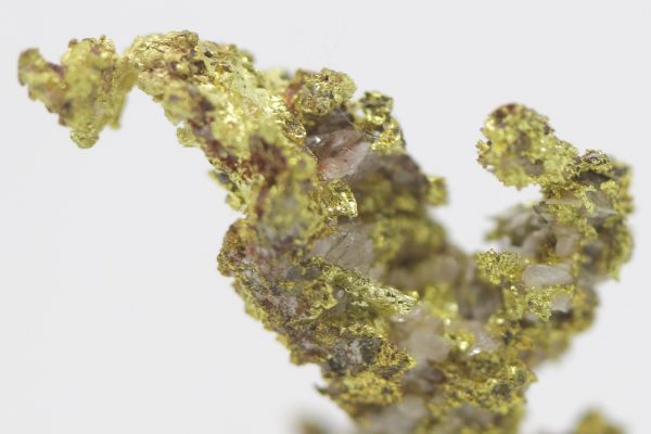 Gold – Bild 7