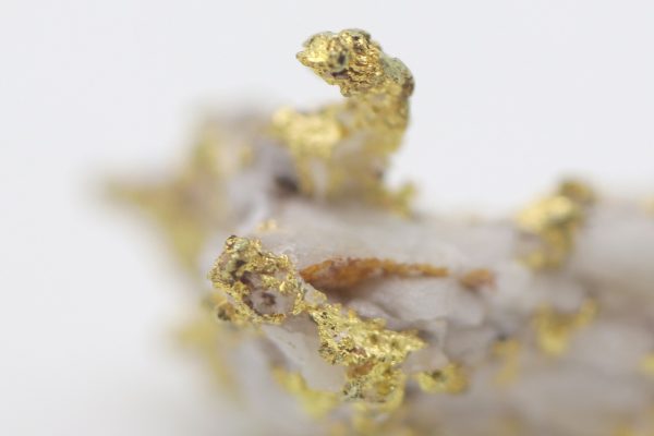 Gold – Bild 6