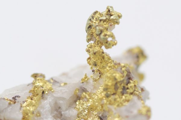 Gold – Bild 8