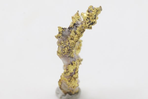 Gold – Bild 4