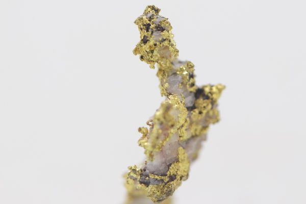 Gold – Bild 7