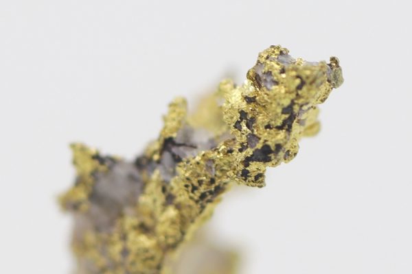 Gold – Bild 10