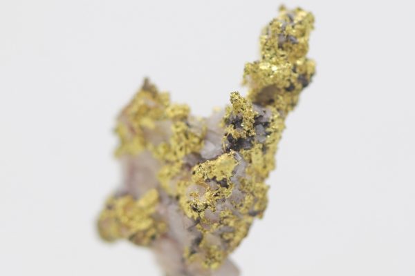 Gold – Bild 11