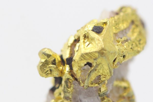 Gold – Bild 6