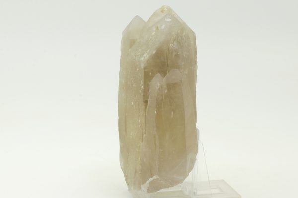 Citrin – Bild 2