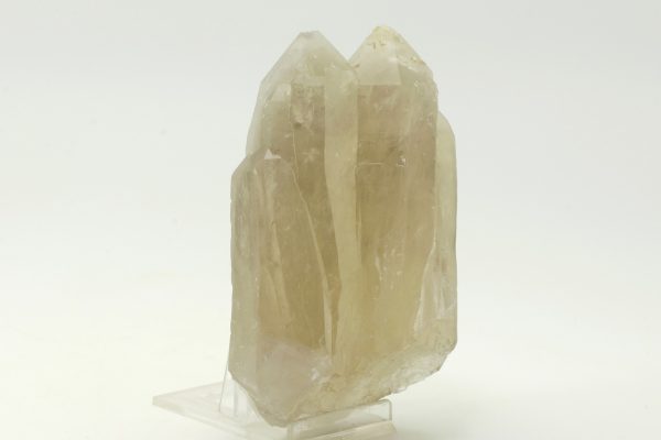 Citrin – Bild 3