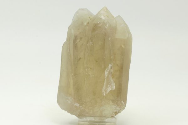 Citrin – Bild 4