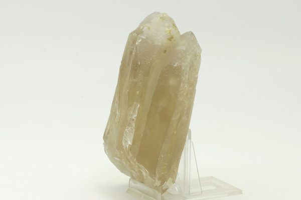 Citrin – Bild 5
