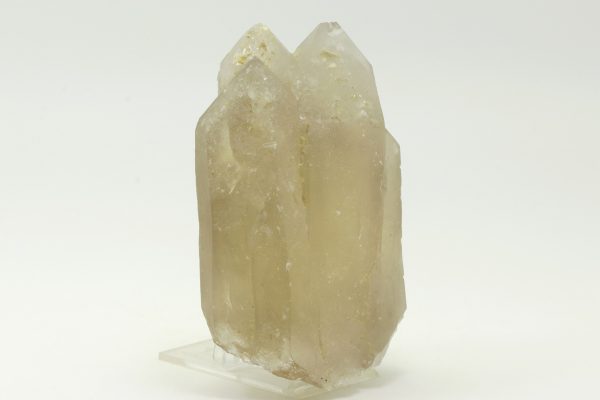 Citrin – Bild 6