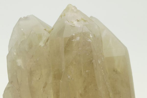 Citrin – Bild 7