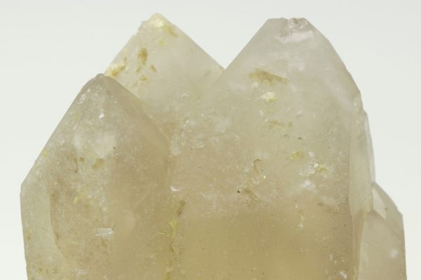 Citrin – Bild 9