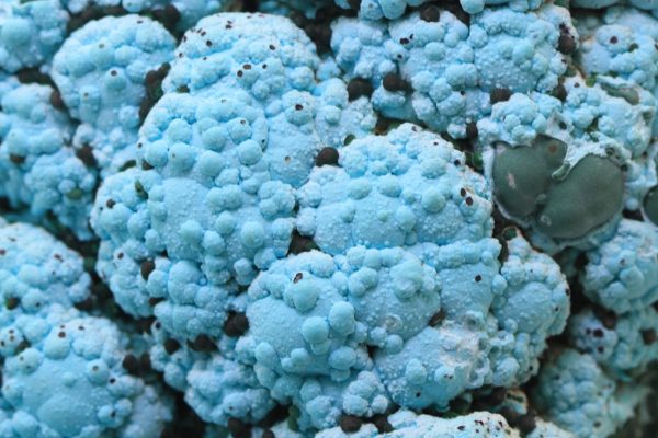 Chrysokoll, Malachit – Bild 12