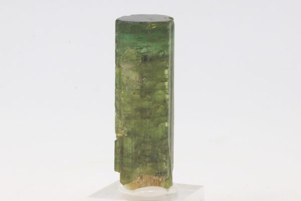 Elbait – Bild 4