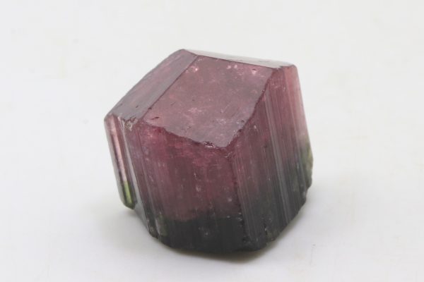 Elbait – Bild 2