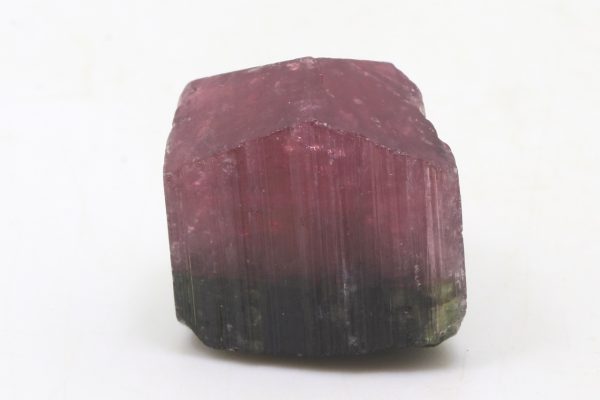 Elbait – Bild 3