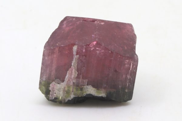 Elbait – Bild 5