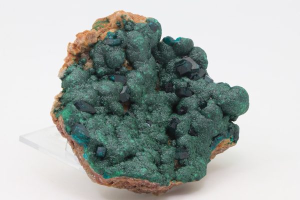 Dioptas, Malachit – Bild 2