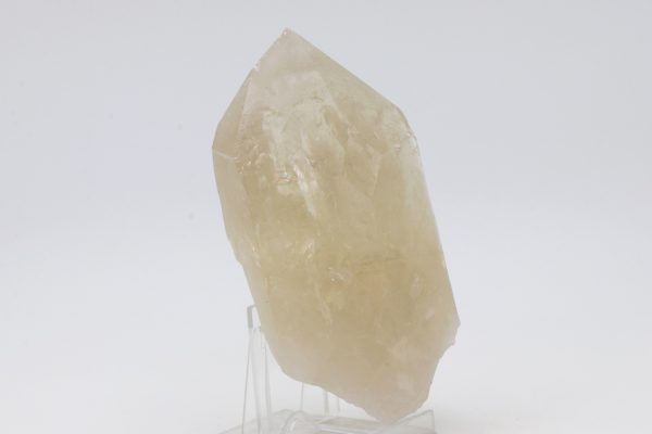 Citrin – Bild 2