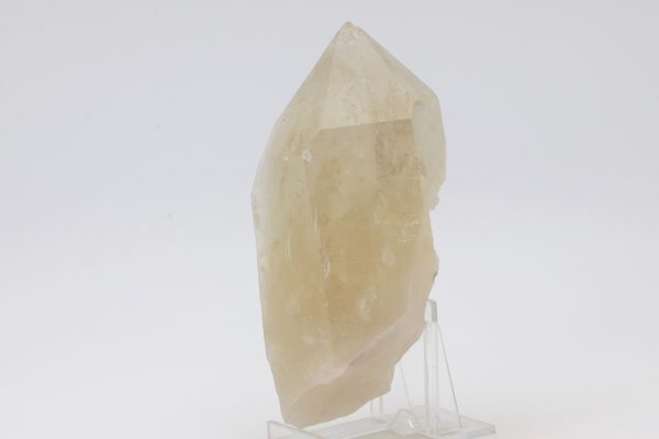 Citrin – Bild 4