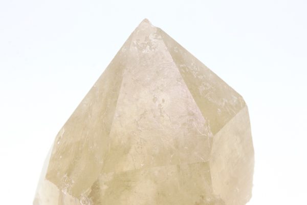 Citrin – Bild 7