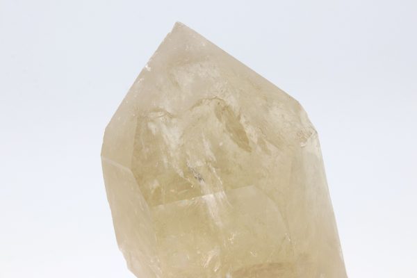 Citrin – Bild 8