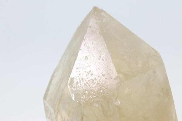 Citrin – Bild 9