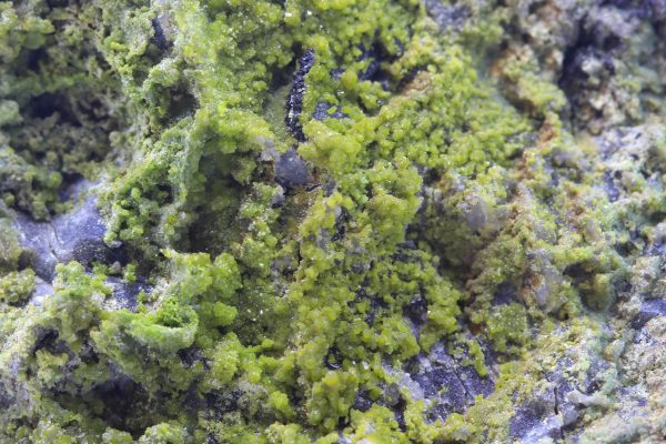 Pyromorphit – Bild 7